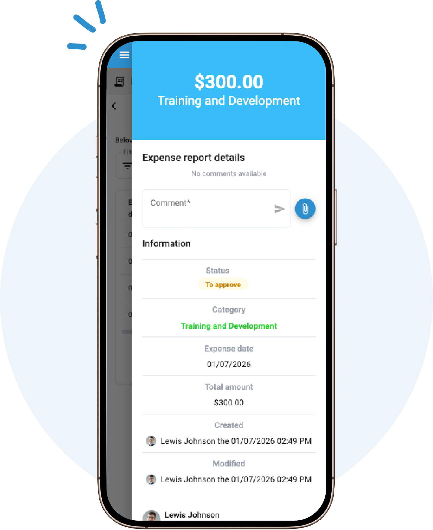 expense report summary