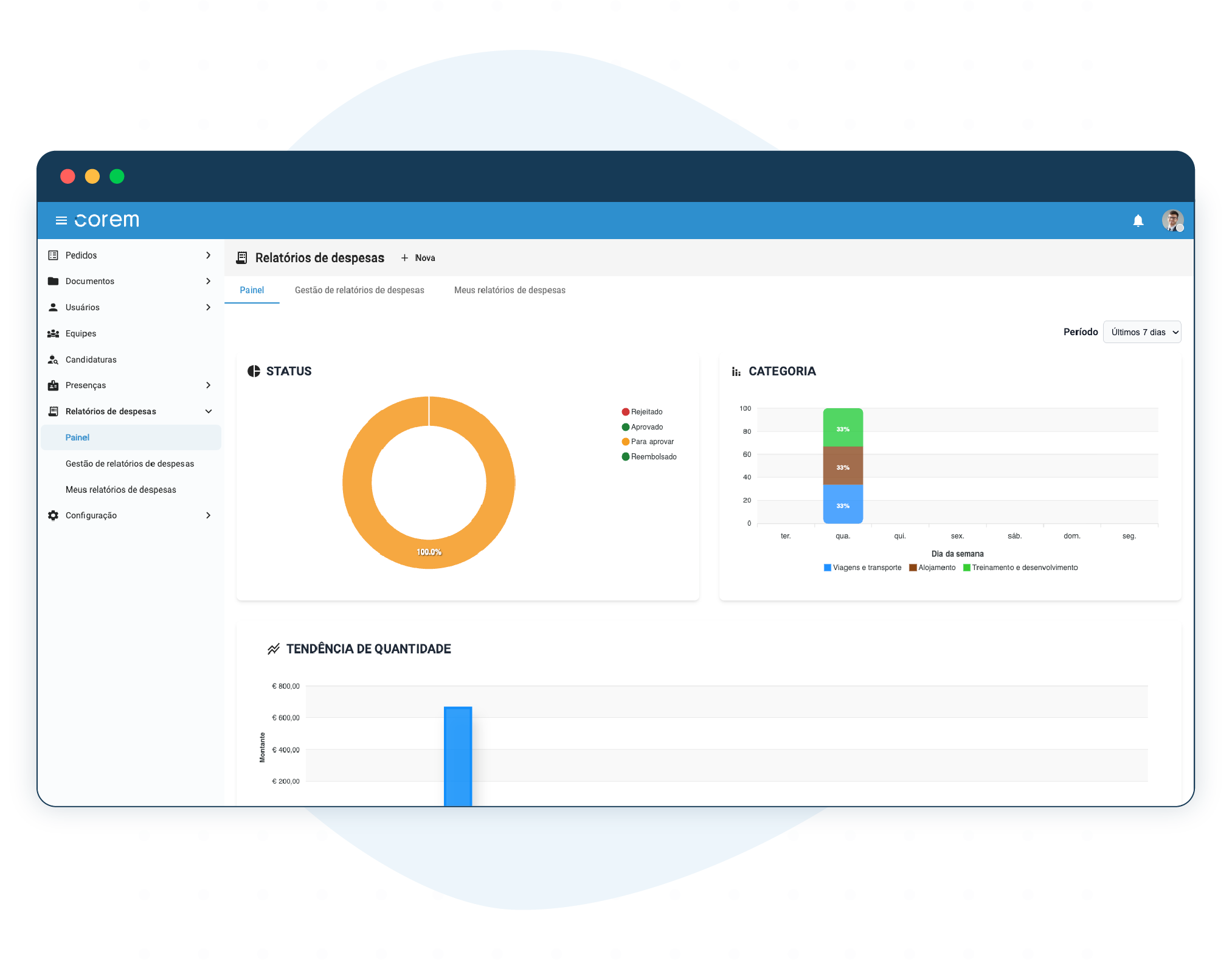 Gestão de Notas de Despesas
