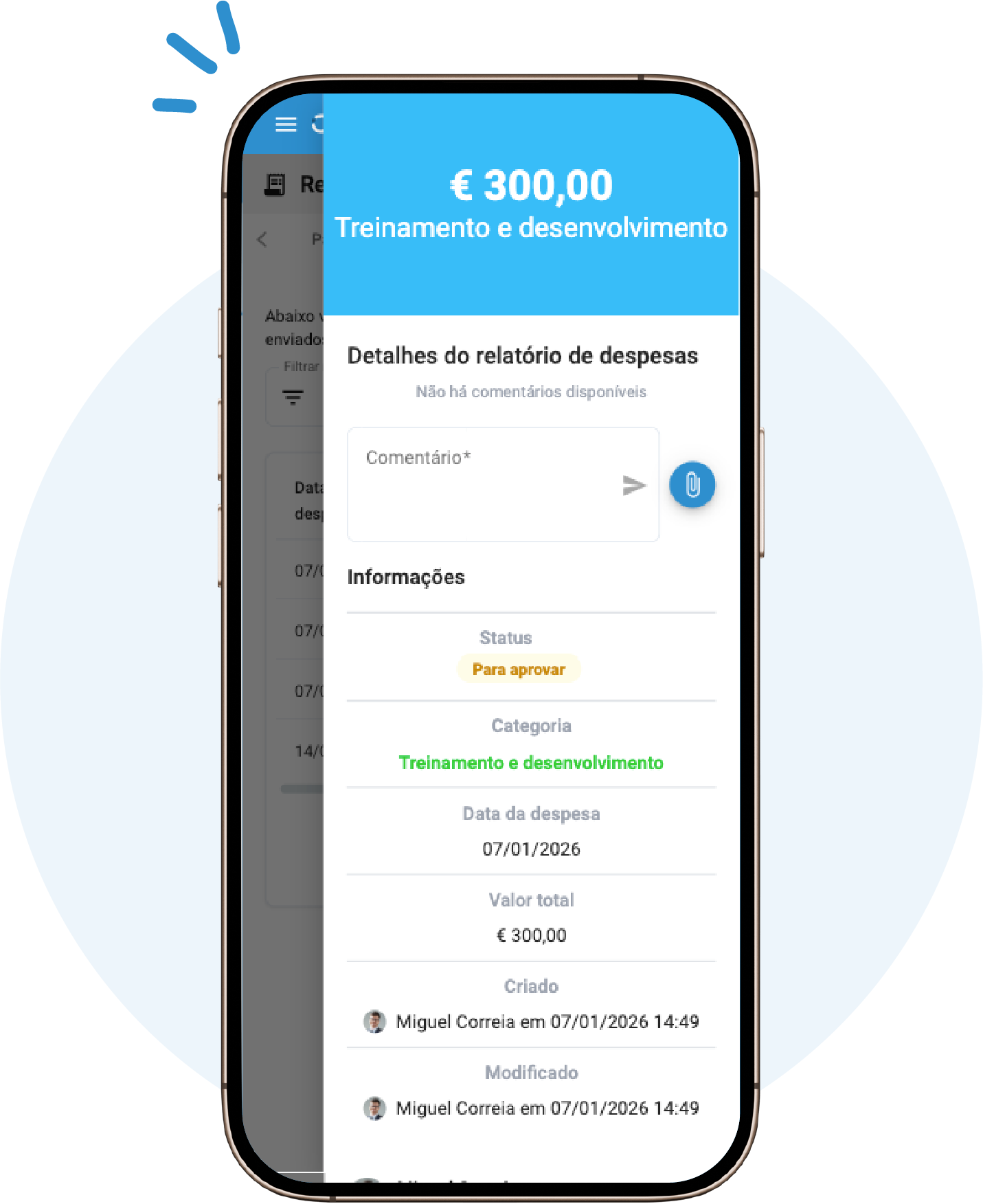 resumo do relatório de despesas